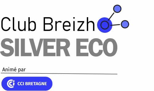 logoclubbreizhsilverecoweb.jpg